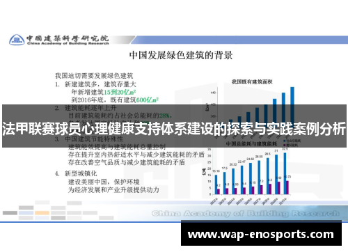 法甲联赛球员心理健康支持体系建设的探索与实践案例分析