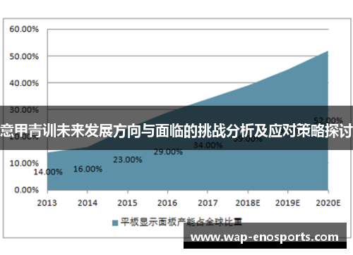 意甲青训未来发展方向与面临的挑战分析及应对策略探讨