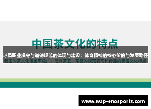 球员职业操守与道德规范的体现与建设：体育精神的核心价值与发展路径