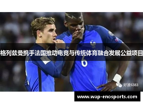 格列兹曼携手法国推动电竞与传统体育融合发展公益项目
