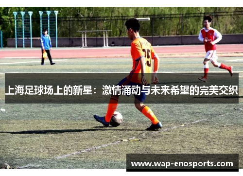 上海足球场上的新星：激情涌动与未来希望的完美交织