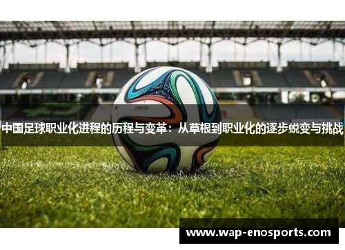 中国足球职业化进程的历程与变革：从草根到职业化的逐步蜕变与挑战