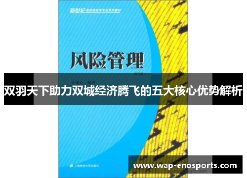 双羽天下助力双城经济腾飞的五大核心优势解析