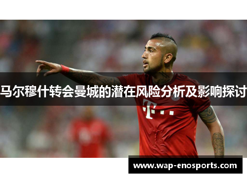 马尔穆什转会曼城的潜在风险分析及影响探讨