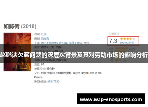 赵鹏谈欠薪问题的深层次背景及其对劳动市场的影响分析