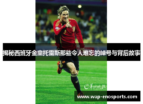 揭秘西班牙金童托雷斯那些令人难忘的绰号与背后故事 揭秘西班牙金童托雷斯那些令人难忘的绰号与背后故事