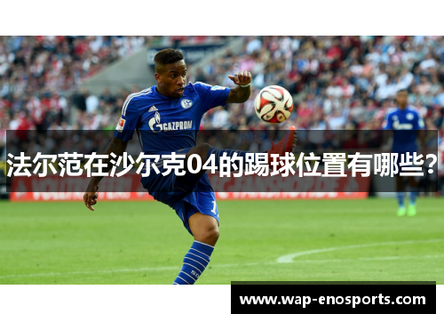 法尔范在沙尔克04的踢球位置有哪些？