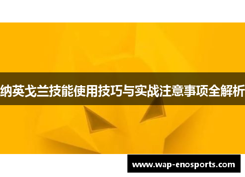 纳英戈兰技能使用技巧与实战注意事项全解析 纳英戈兰技能使用技巧与实战注意事项全解析